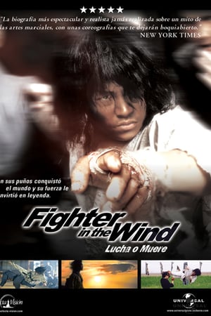 Luchador en el Viento 2004 ES